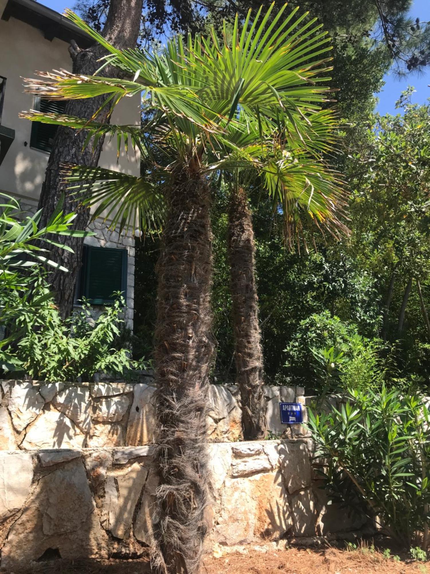 Apartment Sunshine Mali Lošinj Екстериор снимка