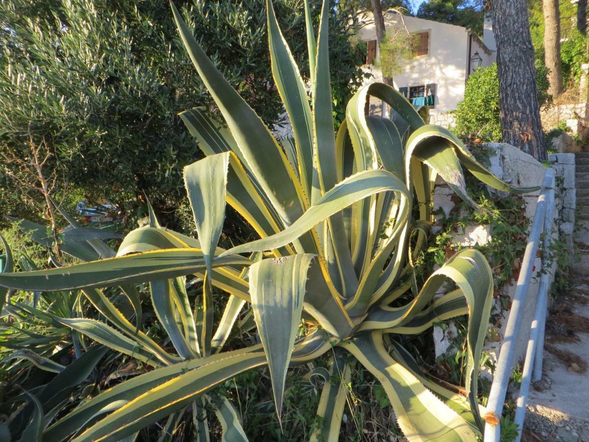 Apartment Sunshine Mali Lošinj Екстериор снимка